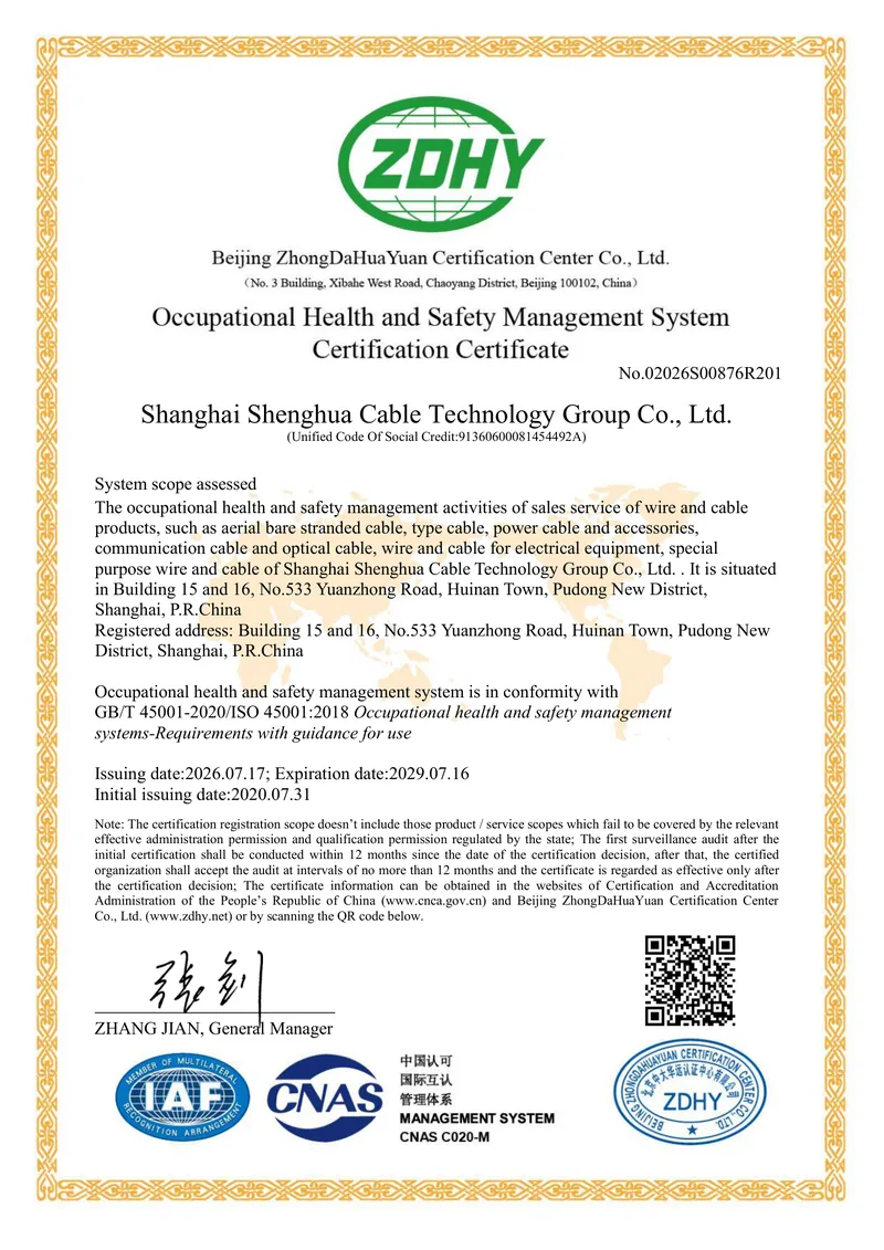 ISO 45001:2018 occupational health and safety management system certificate in the same holder's name