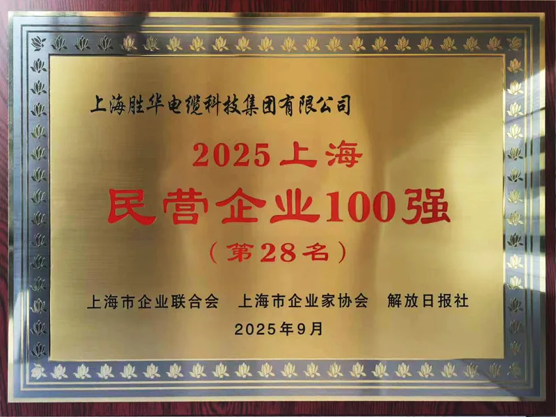 Gold plaque for the 2025 Shanghai Top 100 Private Enterprises list, showing rank 28